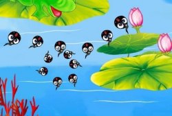 小蝌蚪找妈妈视频,一场寻找妈妈的温馨之旅